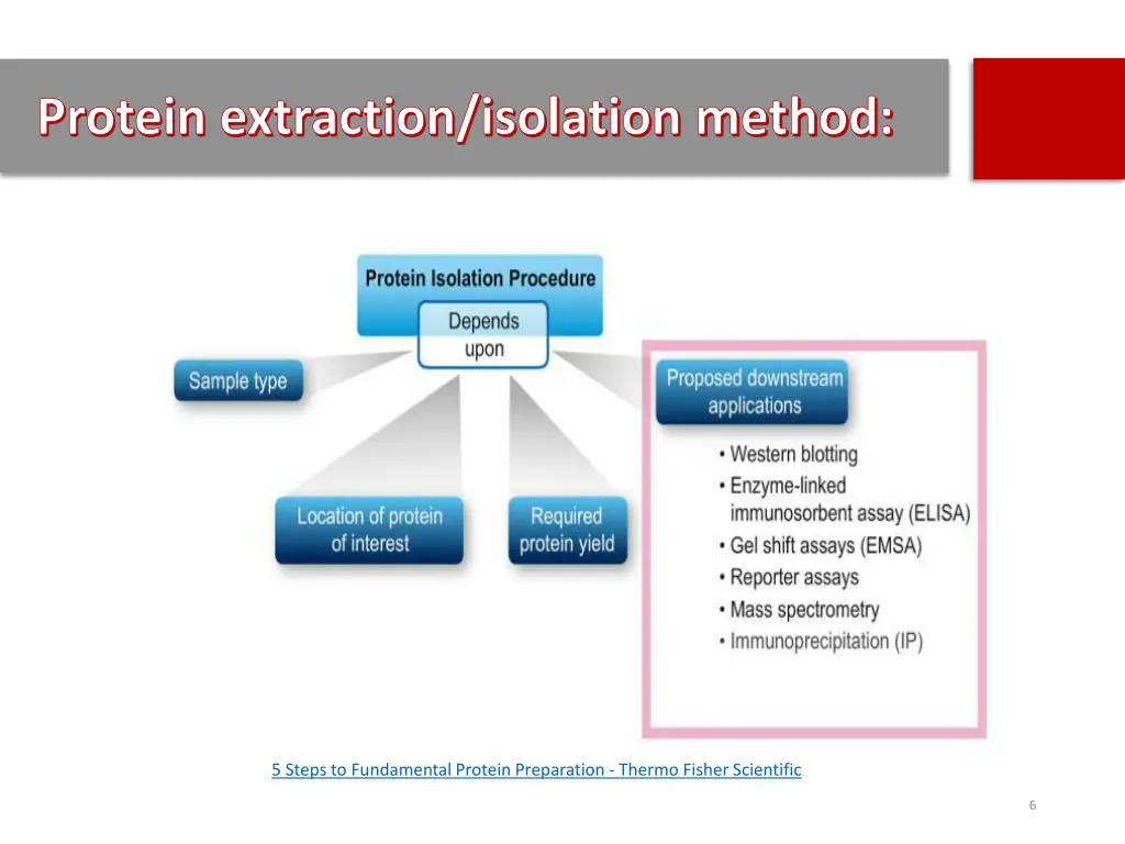 protein extraction isolation method