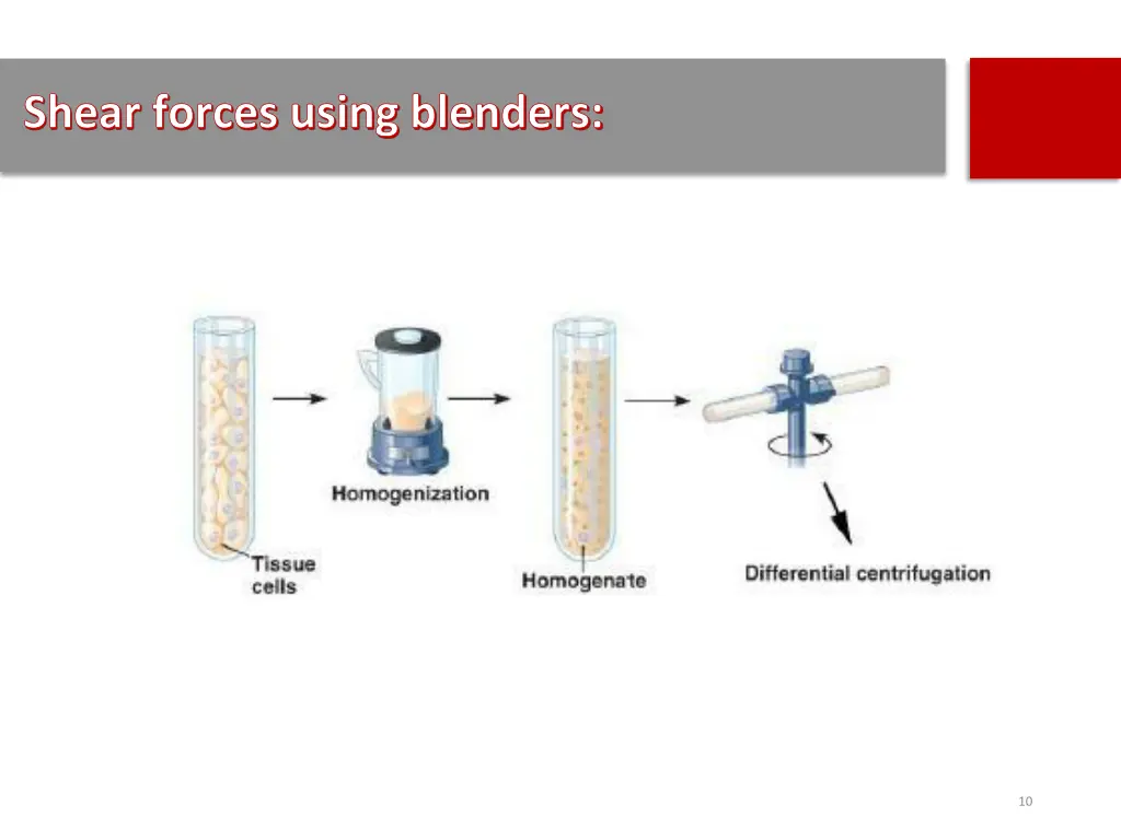shear forces using blenders