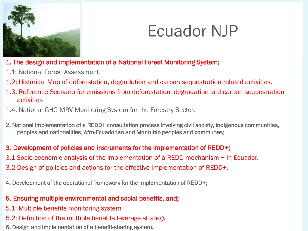 ecuador njp