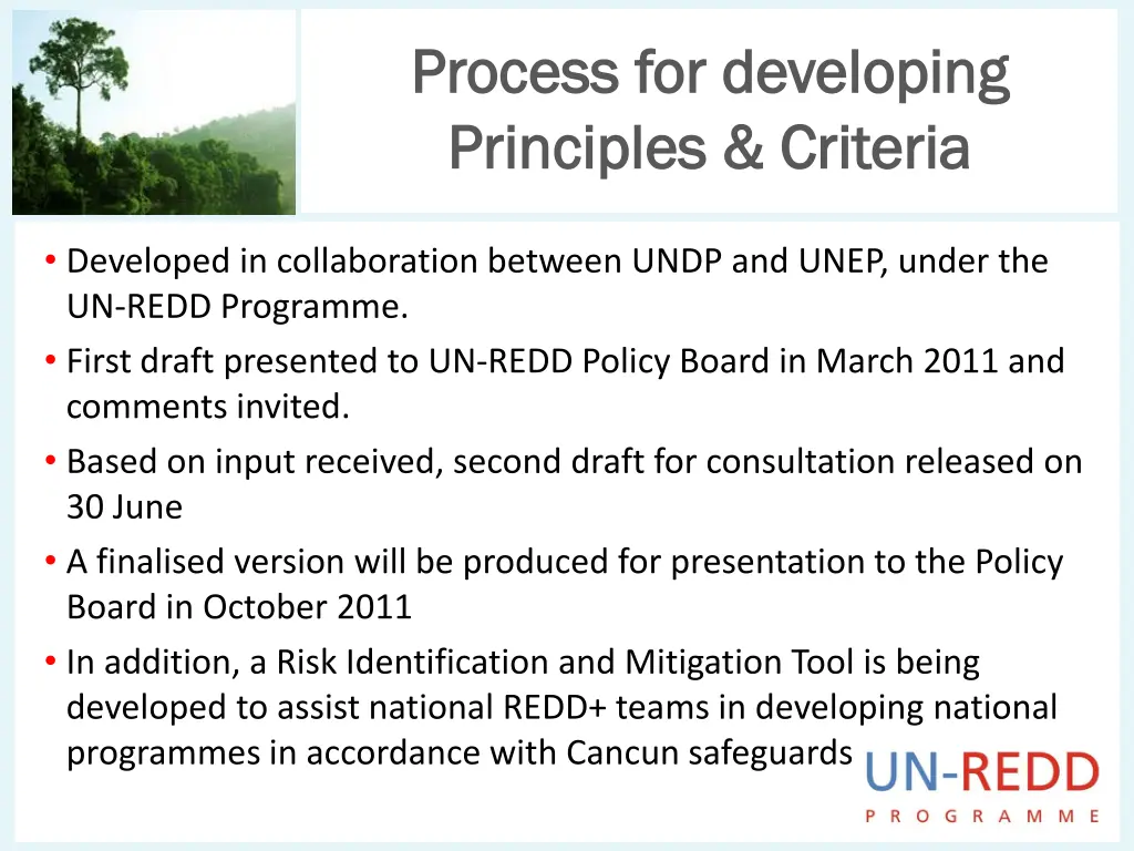 process for developing process for developing