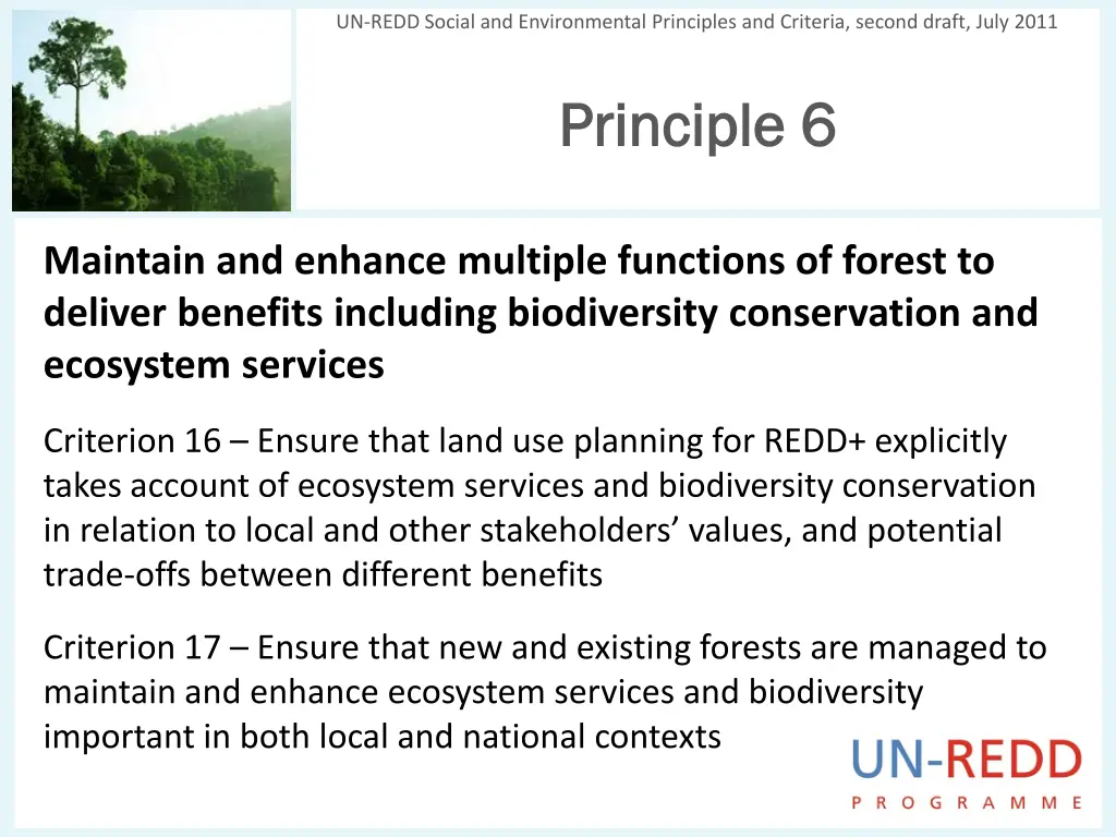 un redd social and environmental principles 6