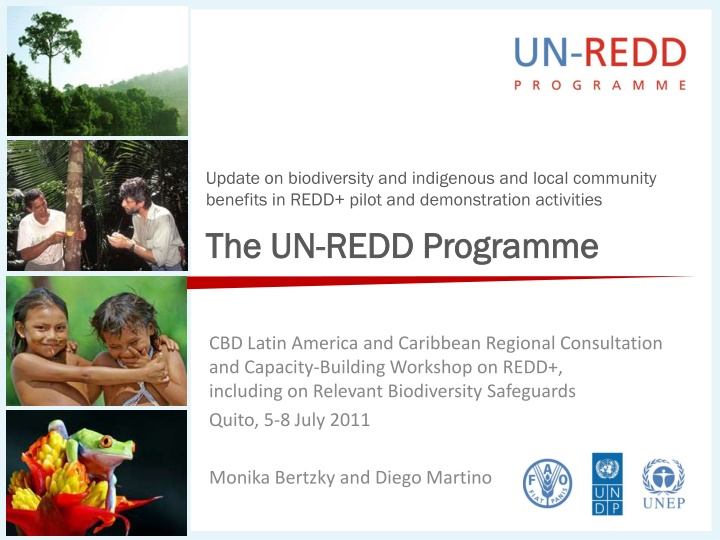 update on biodiversity and indigenous and local
