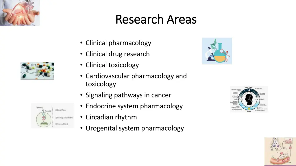 research researchareas