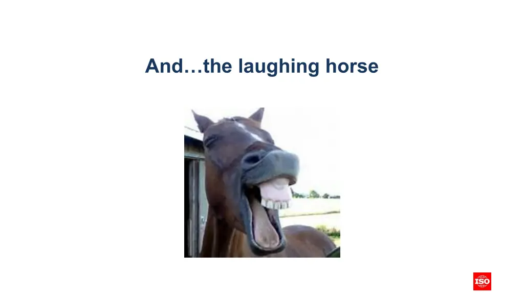 and the laughing horse