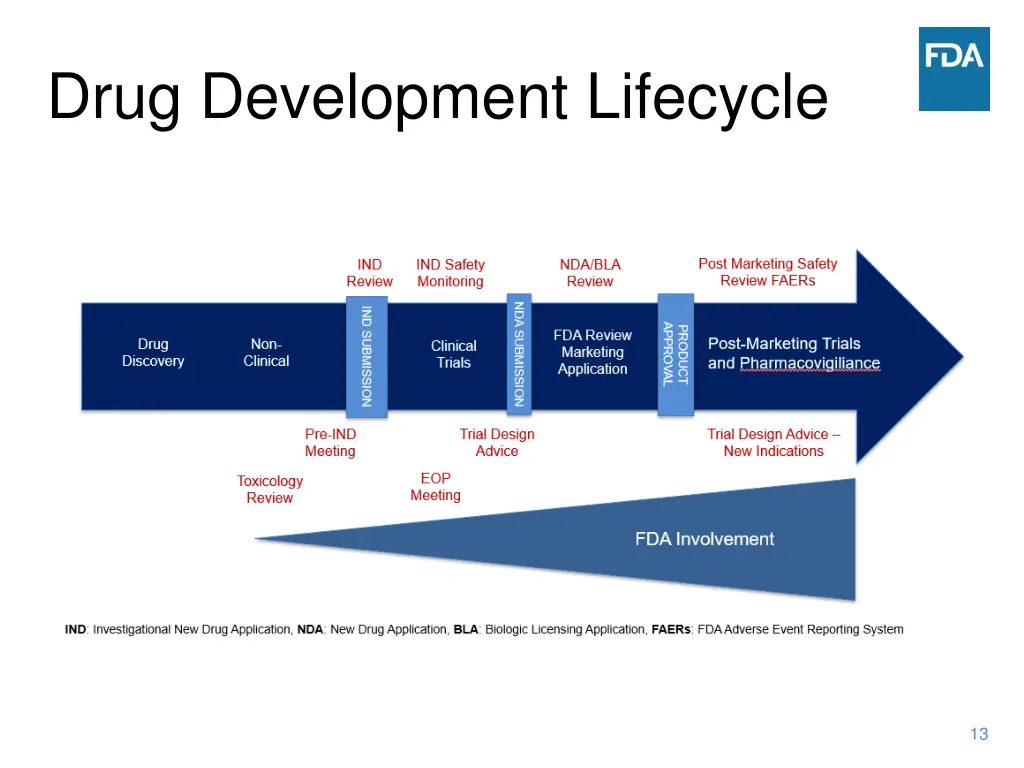 drug development lifecycle