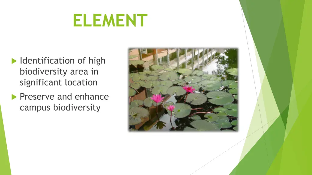 element