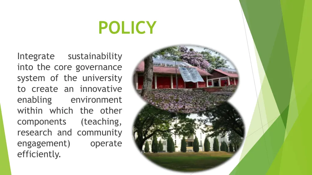 policy