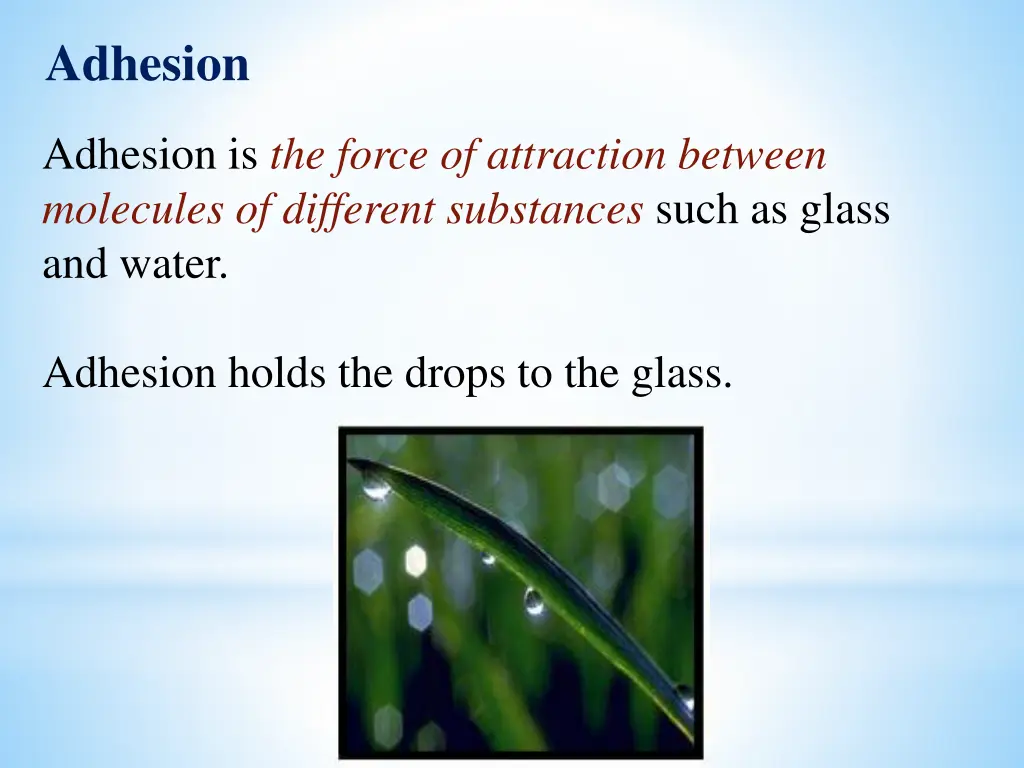 adhesion