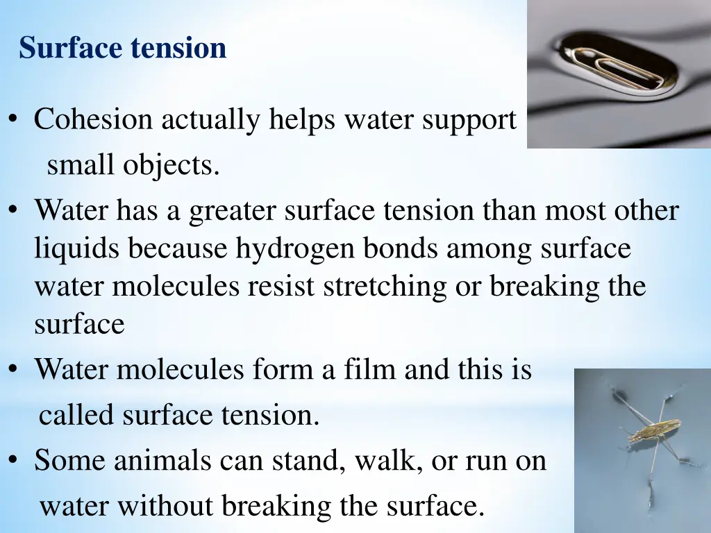 surface tension