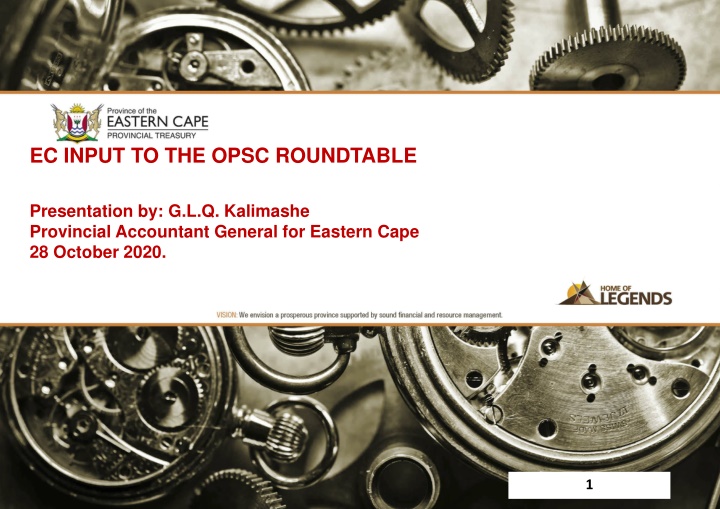 ec input to the opsc roundtable