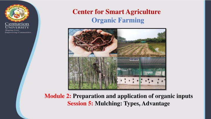 center for smart agriculture organic farming