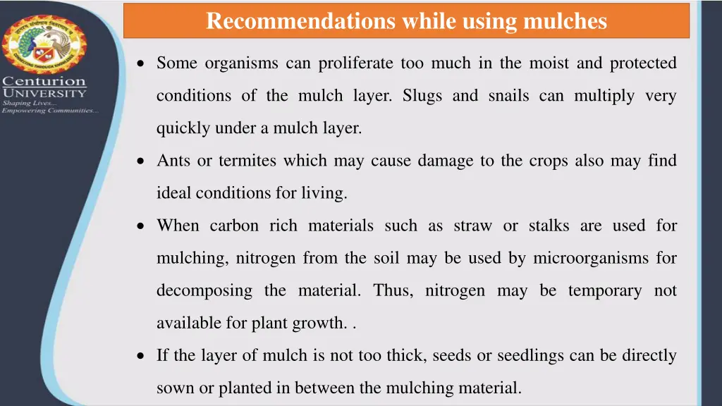 recommendations while using mulches