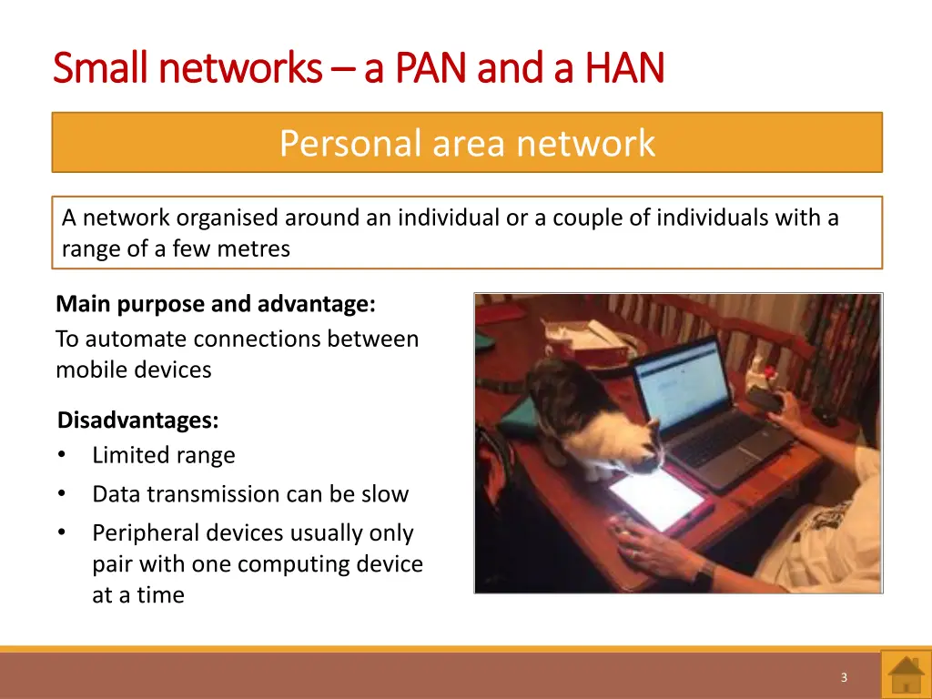 small networks small networks a pan and a han