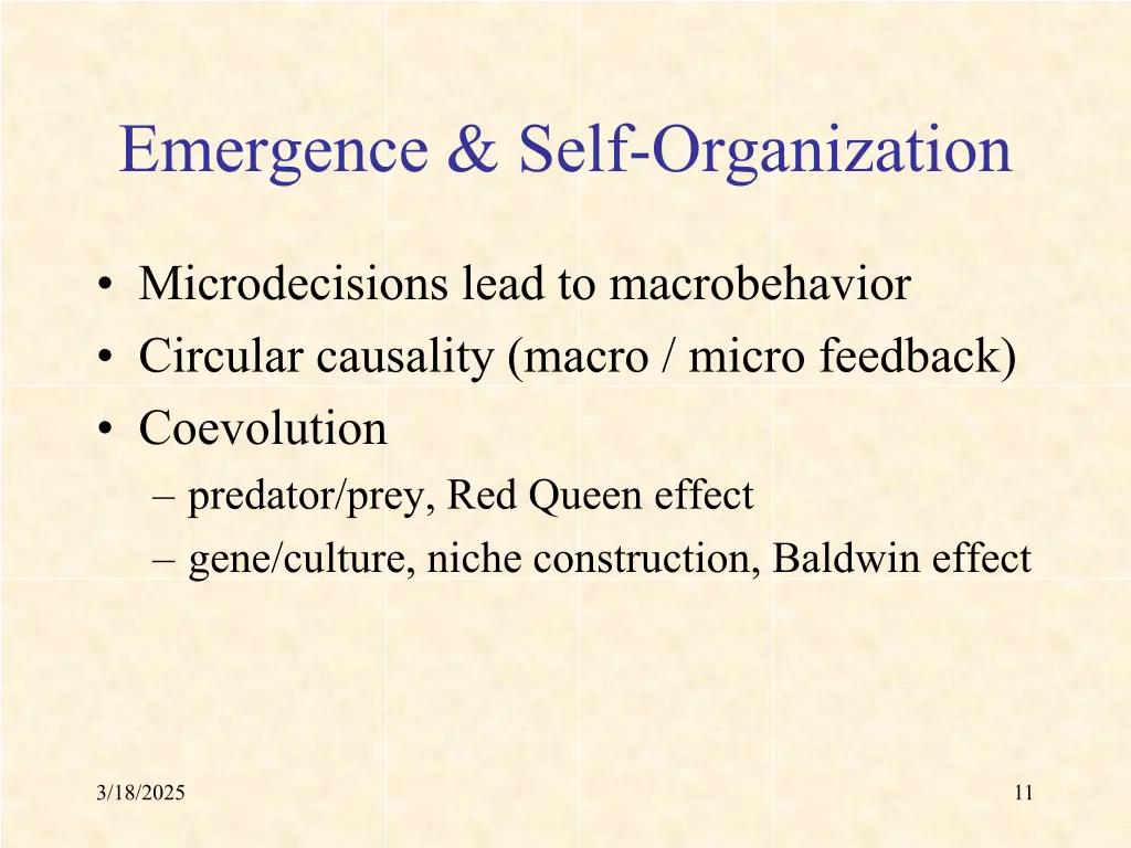 emergence self organization