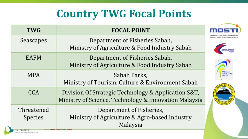 country twg focal points