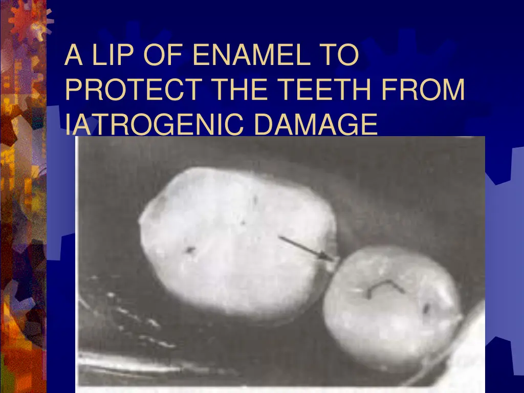 a lip of enamel to protect the teeth from