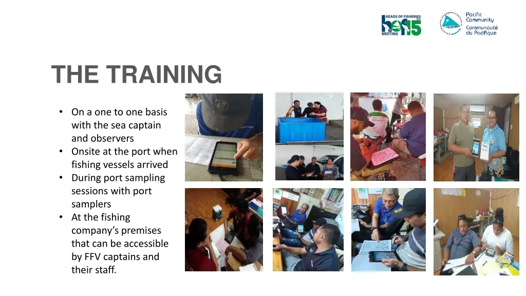 the training