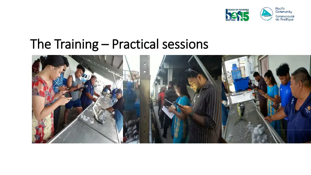 the training the training practical sessions