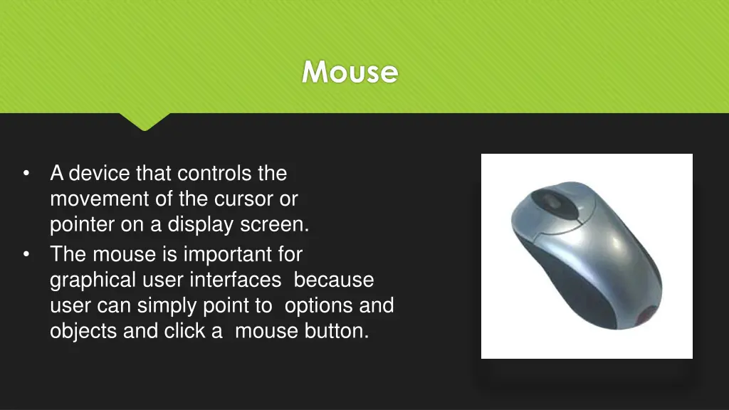 mouse