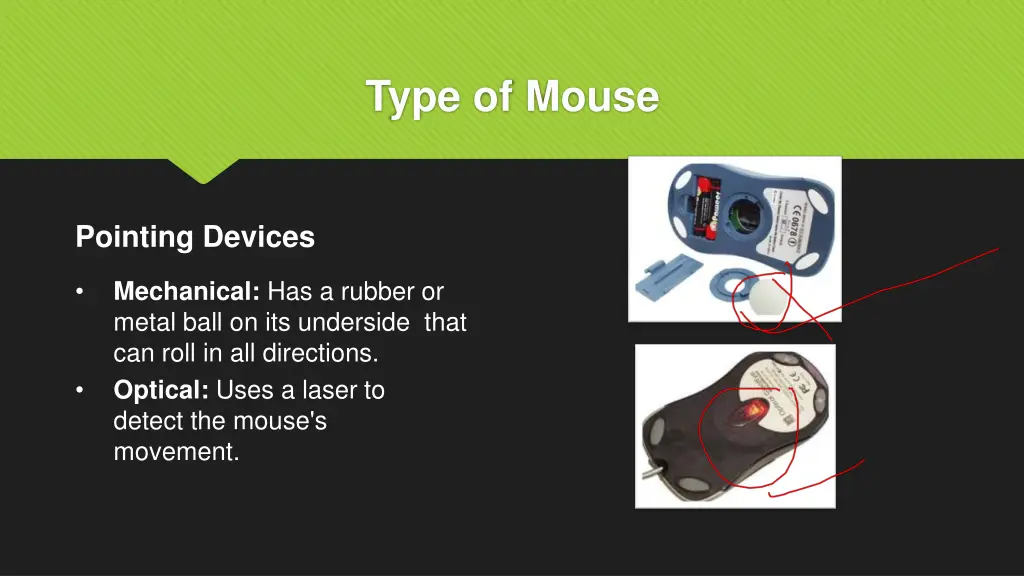 type of mouse