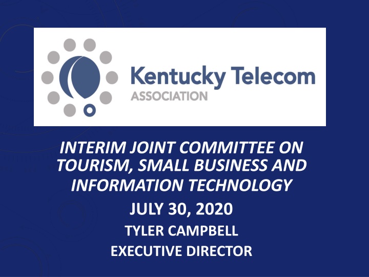 interim joint committee on tourism small business