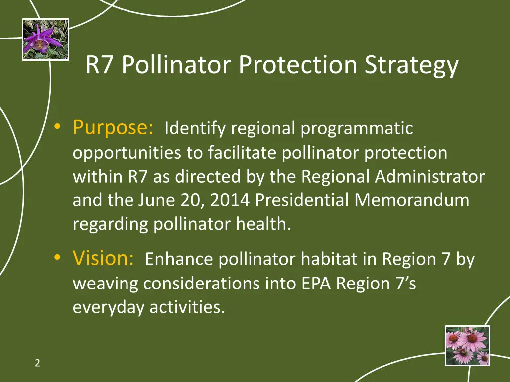 r7 pollinator protection strategy