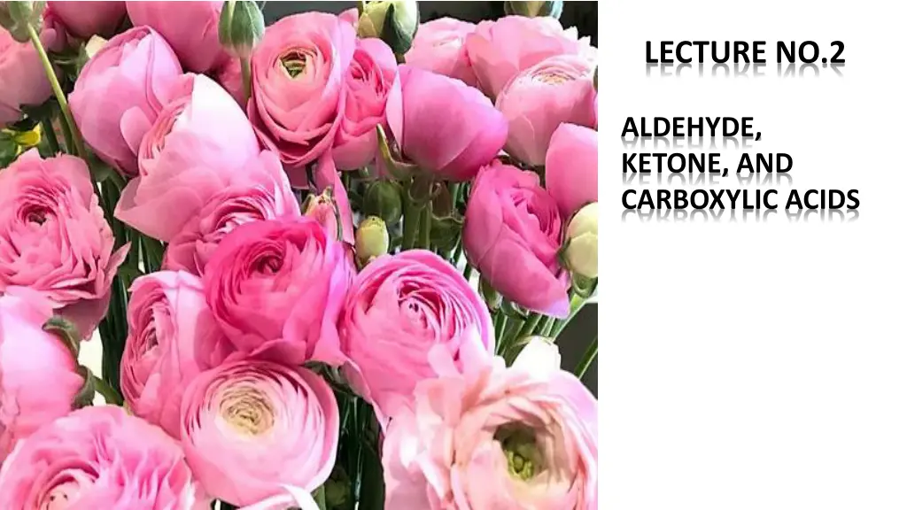 lecture no 2 1