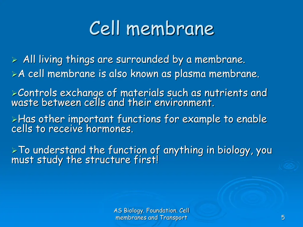 cell membrane