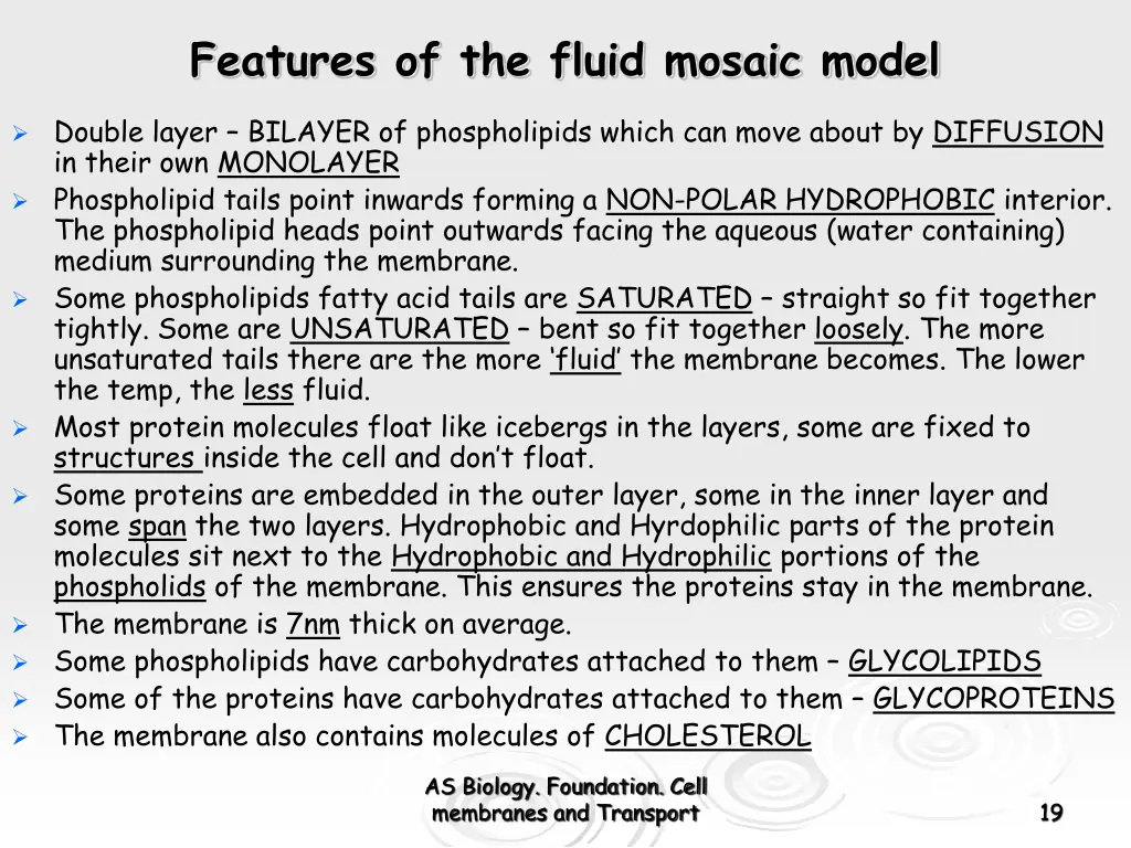 features of the fluid mosaic model 1
