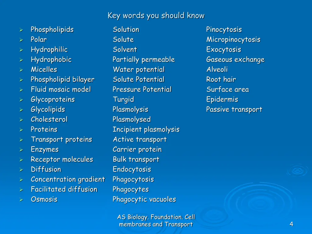 key words you should know