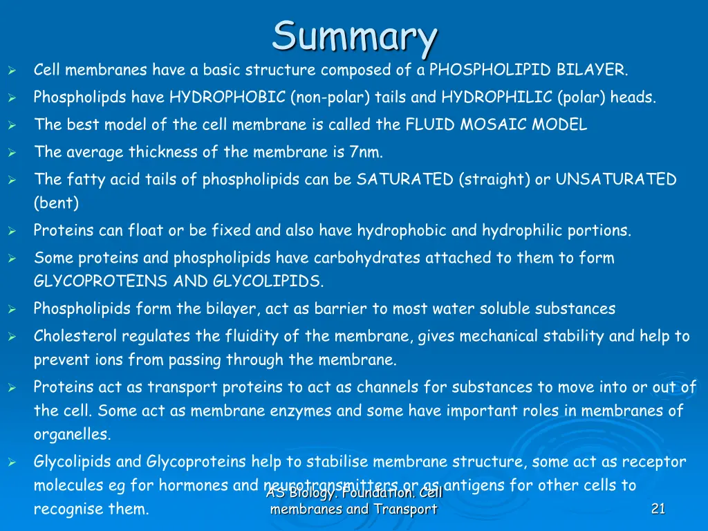 summary