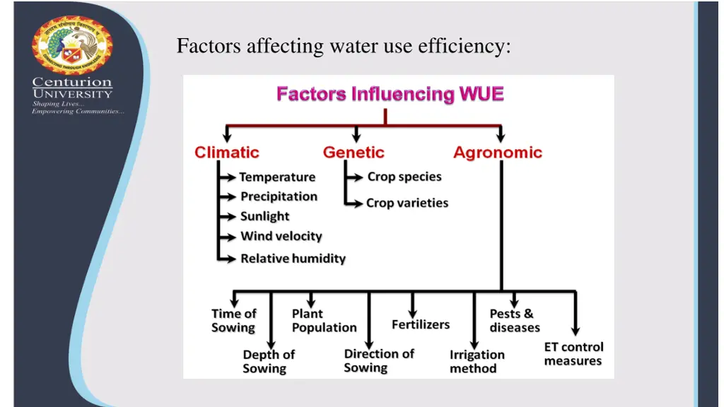 factors affecting water use efficiency