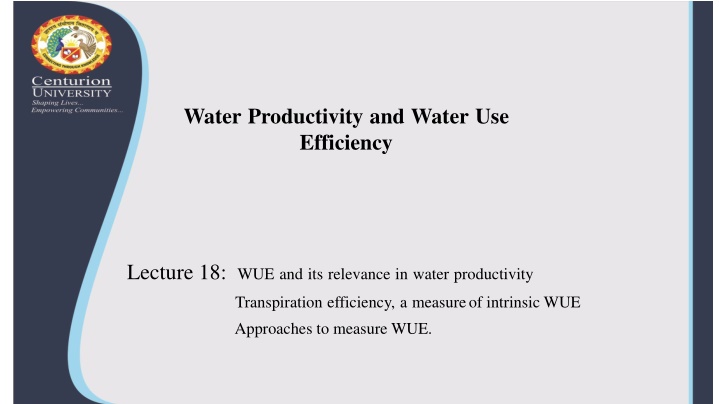 water productivity and water use efficiency