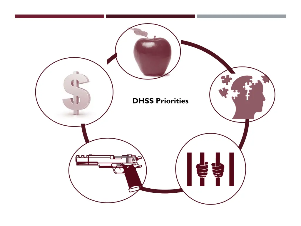 dhss priorities