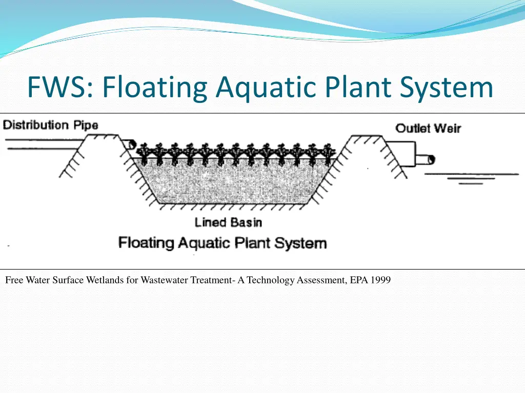 fws floating aquatic plant system
