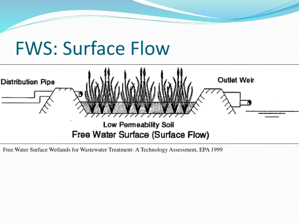 fws surface flow