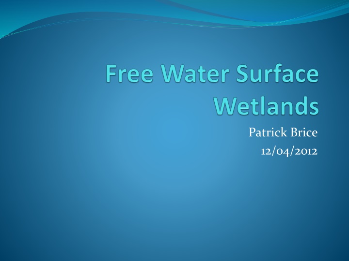 patrick brice 12 04 2012