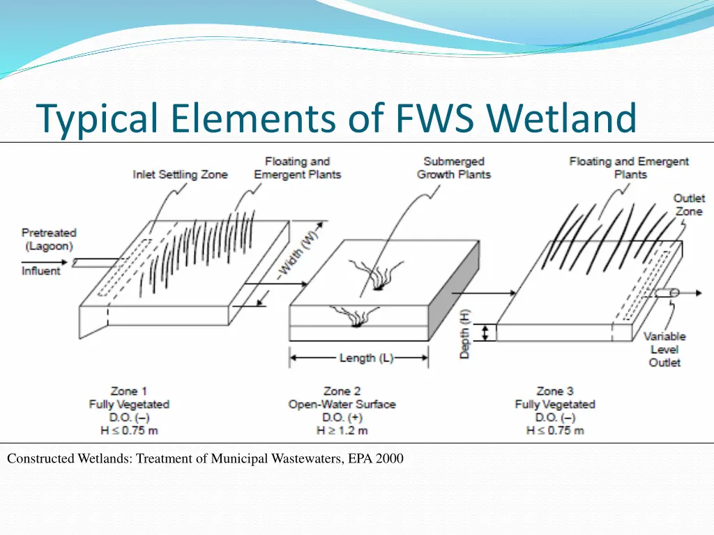 typical elements of fws wetland