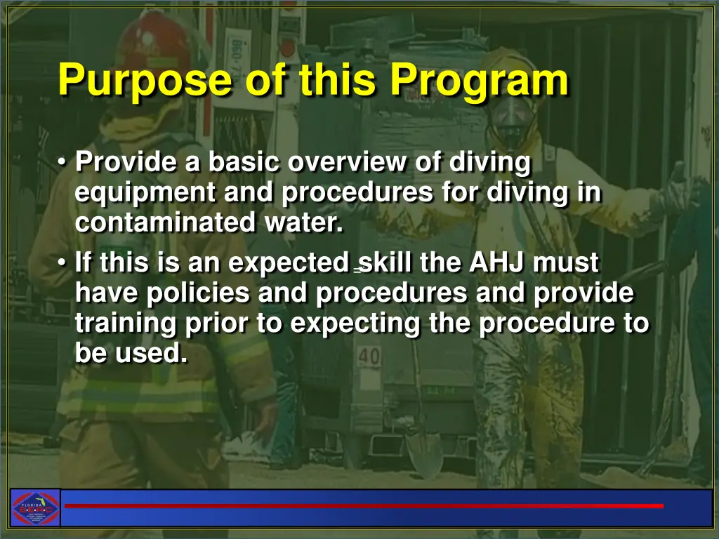 purpose of this program