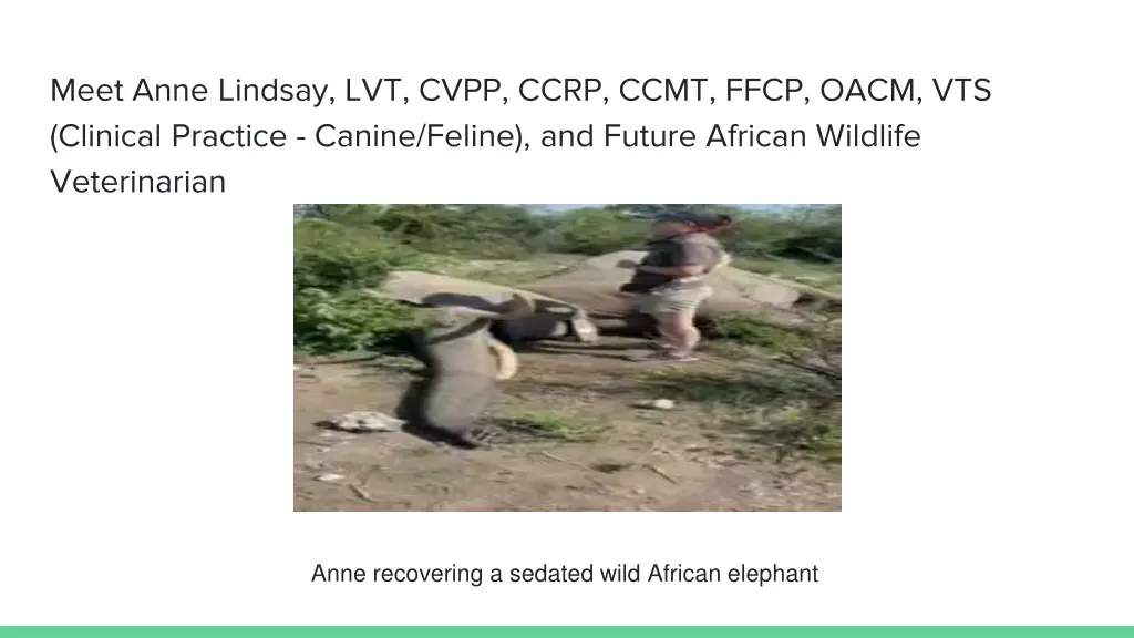 meet anne lindsay lvt cvpp ccrp ccmt ffcp oacm 2