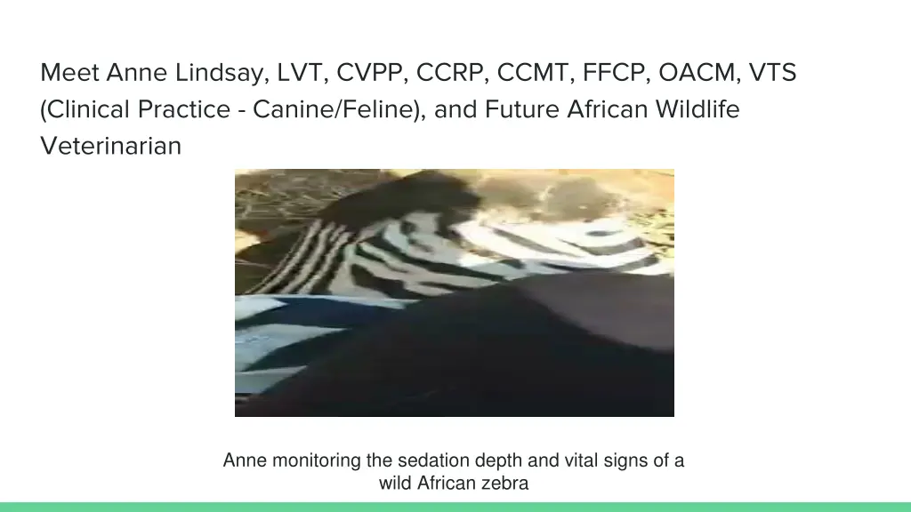 meet anne lindsay lvt cvpp ccrp ccmt ffcp oacm 3