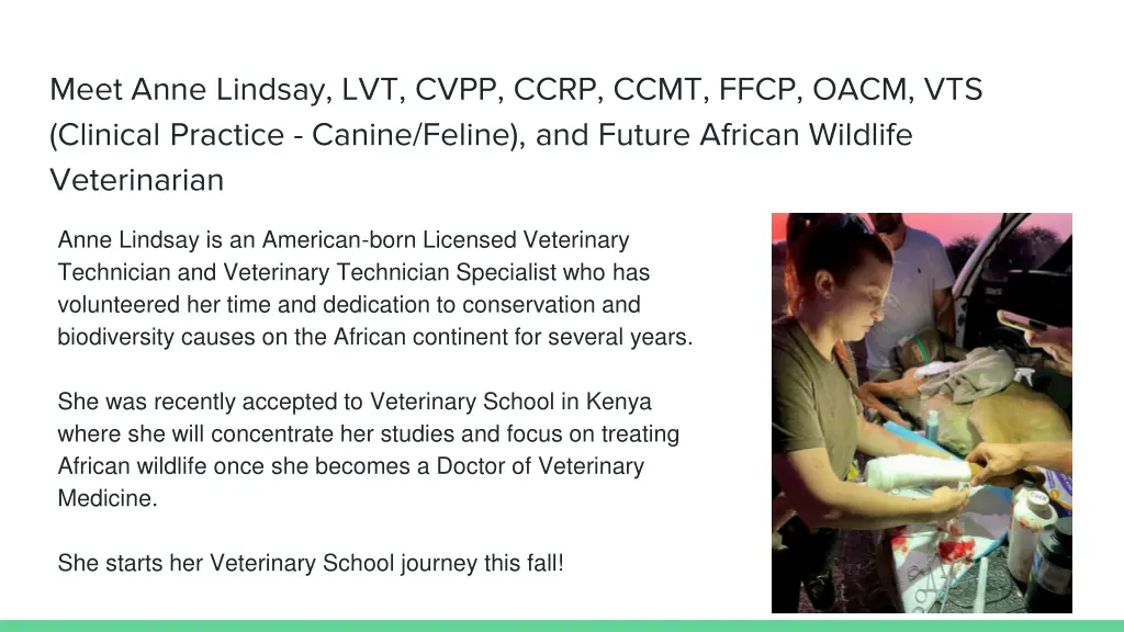 meet anne lindsay lvt cvpp ccrp ccmt ffcp oacm