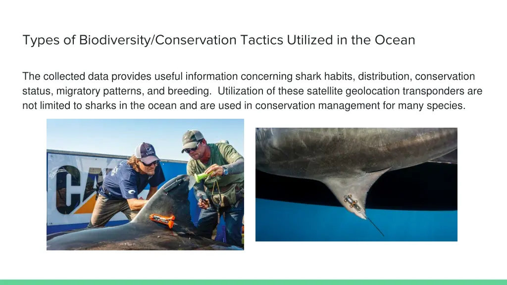 types of biodiversity conservation tactics 7