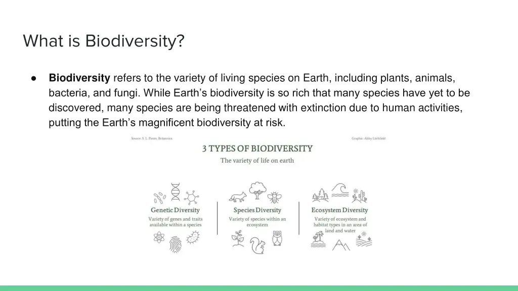 what is biodiversity