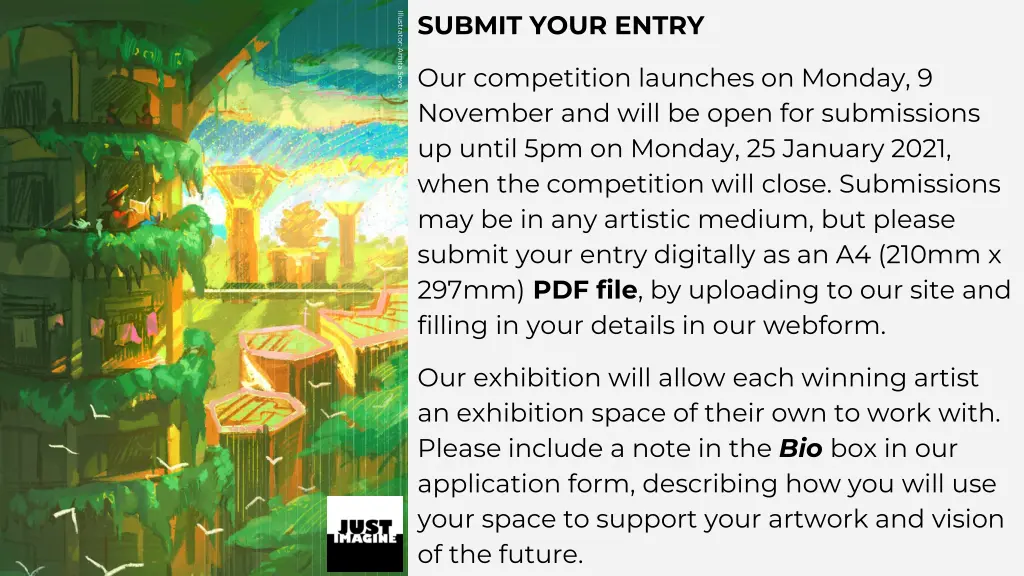 submit your entry