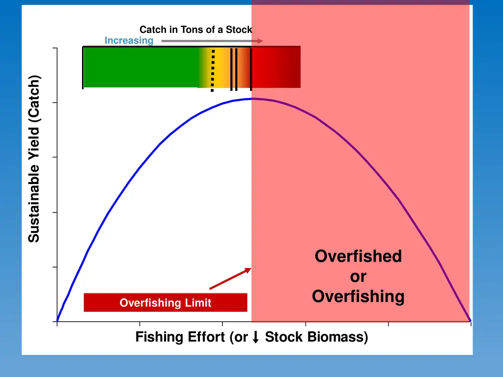 catch in tons of a stock increasing