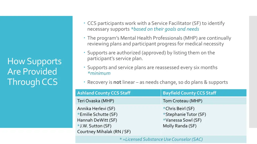 ccs participants work with a service facilitator