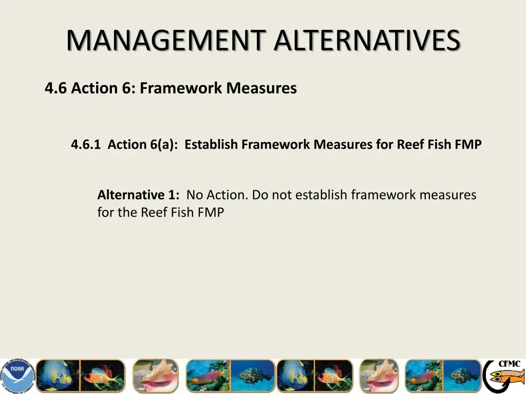 management alternatives 25