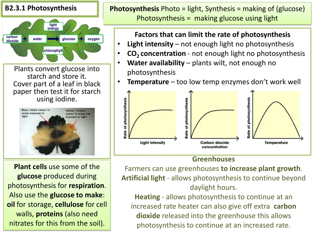 b2 3 1 photosynthesis