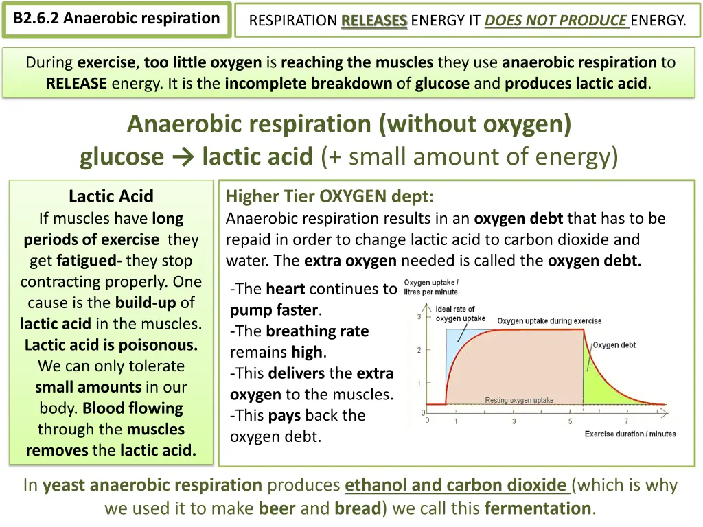 b2 6 2 anaerobic respiration
